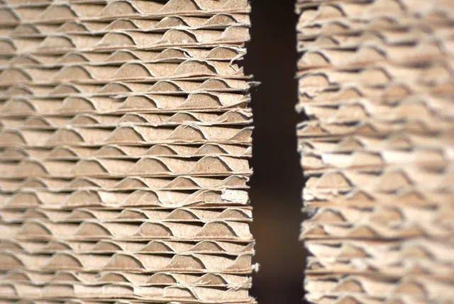 Bio-Gard Wall Laminate